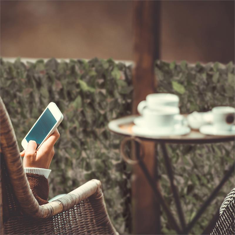 Blumfeldt Fency Dark Leaf, zástena, ochrana pred pozorovaním, ochrana pred vetrom, 300 x 150 cm, buk, tmavozelená – Obrázok 4