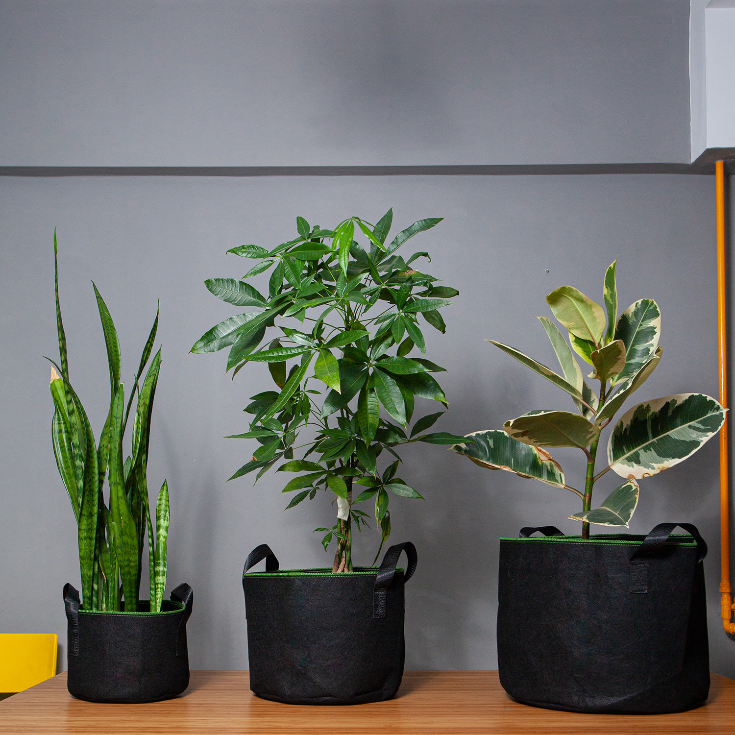 Blumfeldt Textilný kvetináč, súprava 5 kusov, 5 litrov, flís, s rúčkami – Obrázok 2