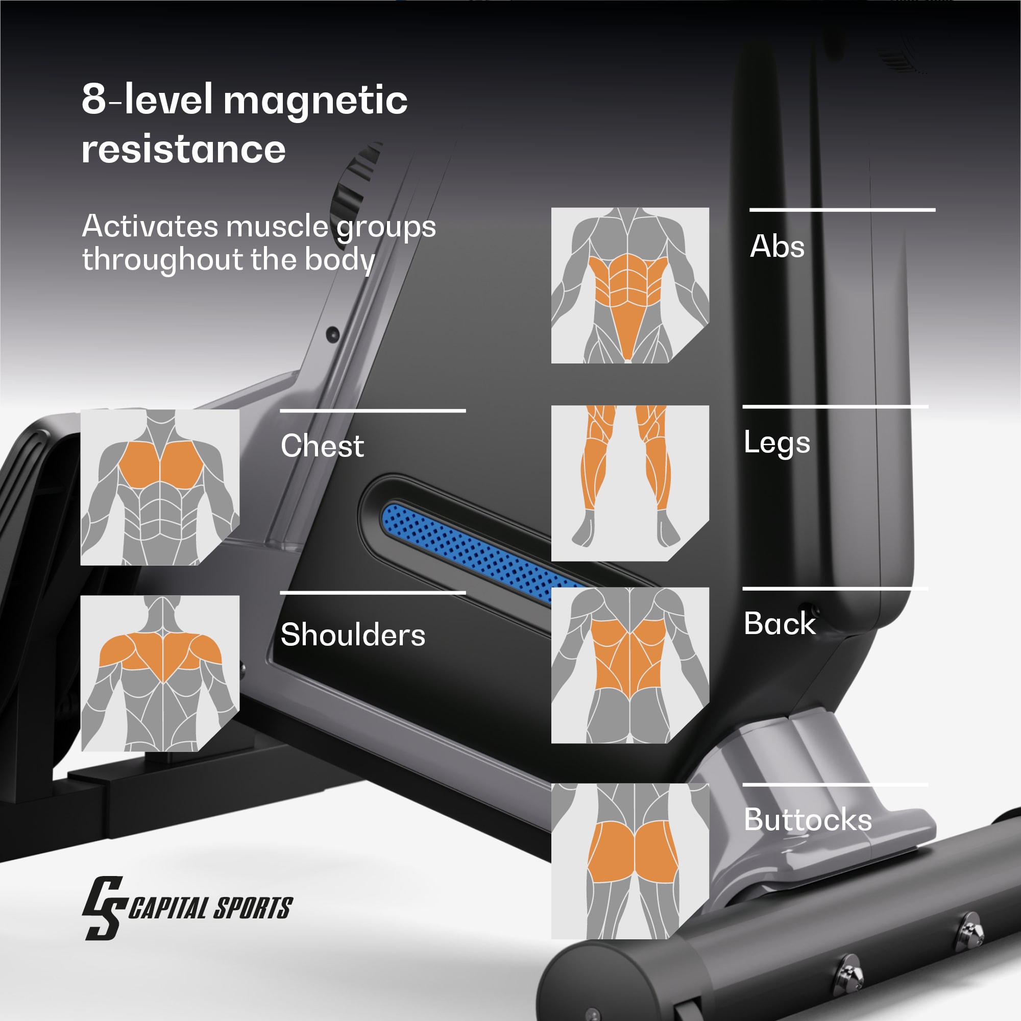 Capital Sports Themis, magnetický veslovací trenažér, LED displej, 8 úrovní, oceľ – Obrázok 2