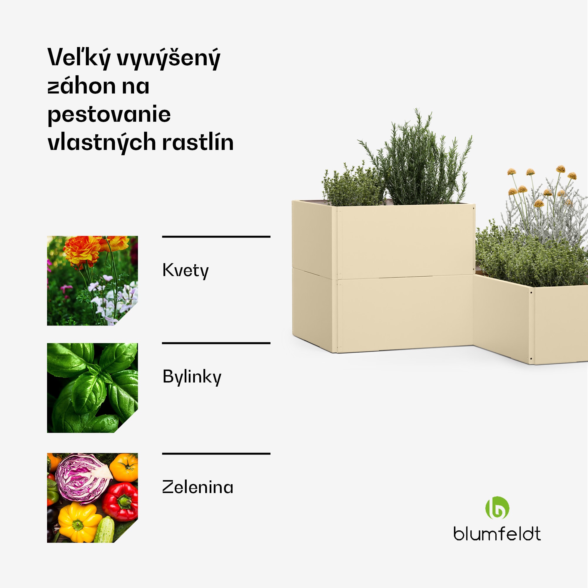 Blumfeldt Versagrow vyvýšený záhon s 12 modulmi, individuálny tvar, hrúbka 1 mm, nehrdzavejúca oceľ – Obrázok 4