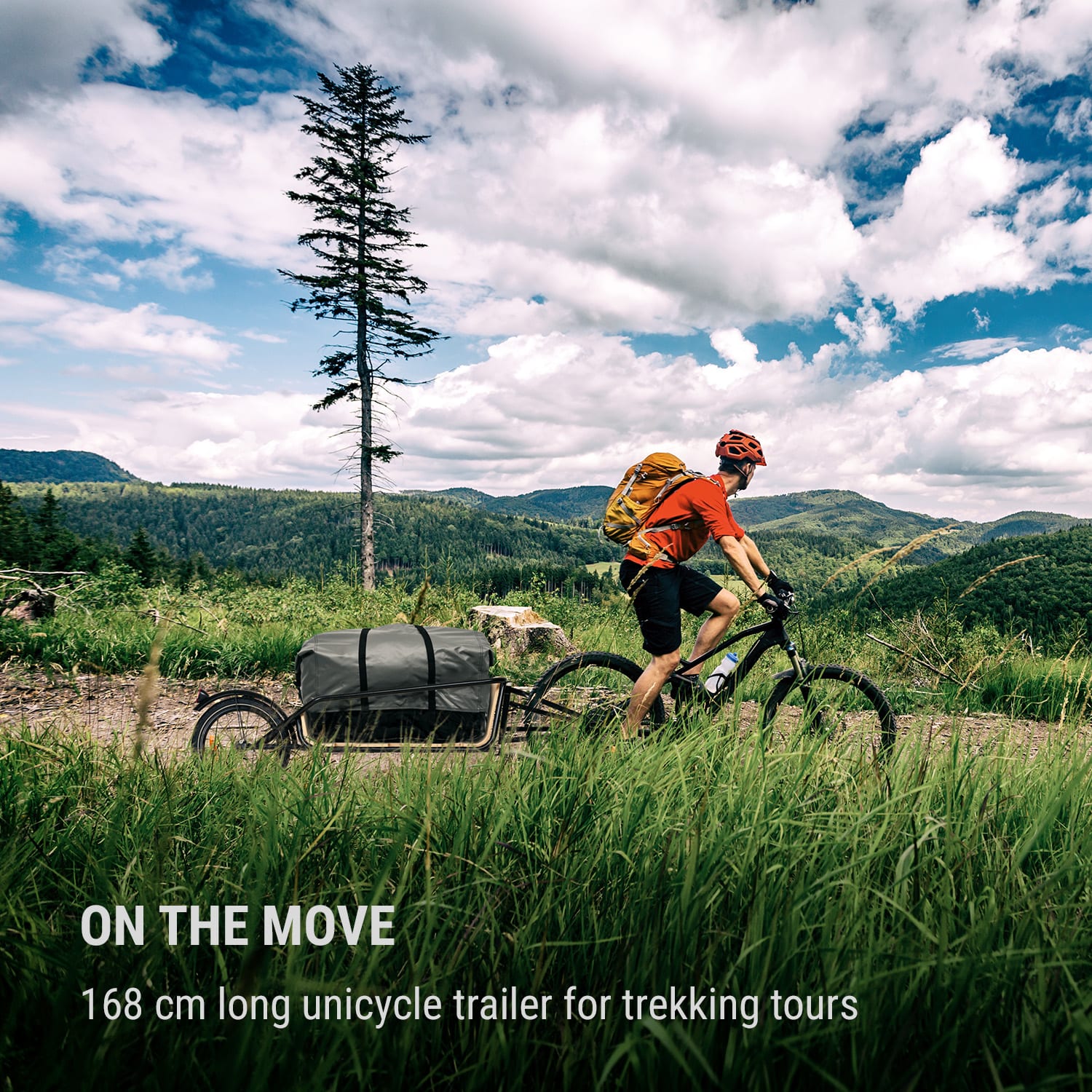 KLARFIT Companion Chaser, Príves na bicykel, 30 kg, 16", Multiplex, Breza – Obrázok 2