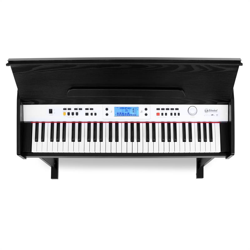 SCHUBERT Carnegy-61, elektronický klavír, 61 klávesov, MIDI – Obrázok 4
