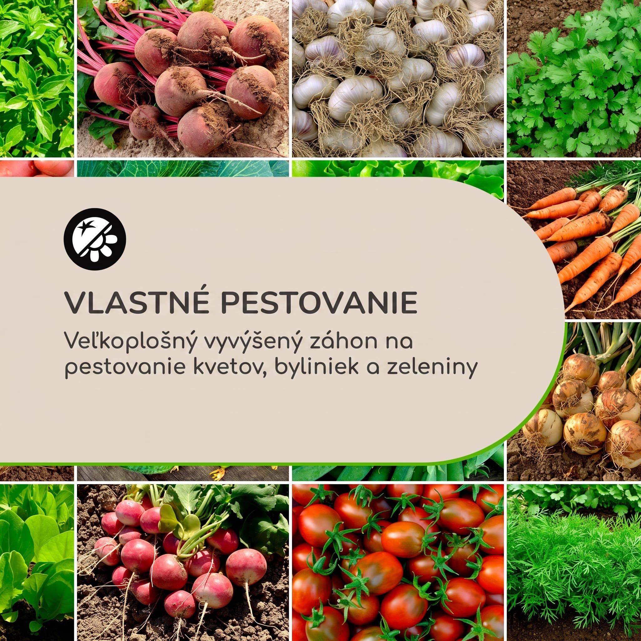Blumfeldt Rust Grow vyvýšený záhon záhradný záhon pozinkovaný oceľový plech s hrdzavým efektom – Obrázok 3