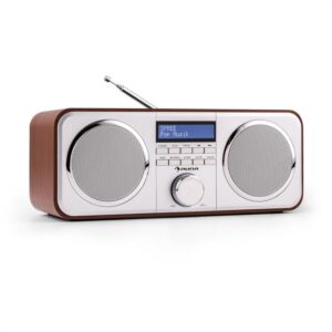 Auna Georgia DAB-rádio, DAB+, FM, predvoľby staníc, budík, AUX, čerešňa