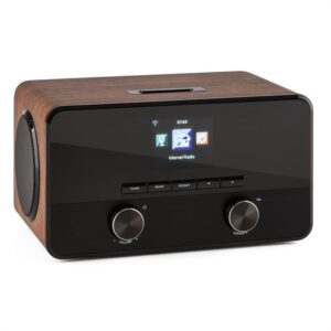 Auna Connect 100, internetové rádio, mediálny prehrávač, bluetooth, WLAN, USB, AUX, linkový výstup