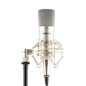 OneConcept Mic-700, strieborný, štúdiový mikrofón, Ø34 mm, univerzálny, pavúk, ochrana pred vetrom, XLR