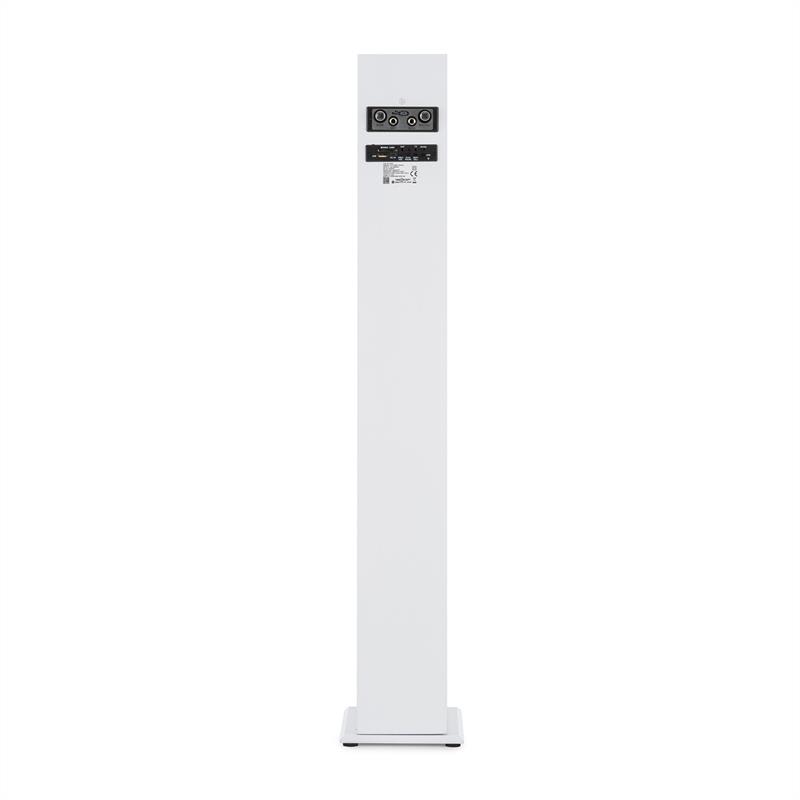 OneConcept Tallboy, biely, karaoke reproduktor, akumulátor, bluetooth, USB, SD, MP3, FM, AUX, 2 x mikrofón – Obrázok 3