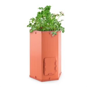 Waldbeck Potatoe-Pro, črepník na pestovanie zemiakov, vysúvateľný kryt zberného okienka, terakota