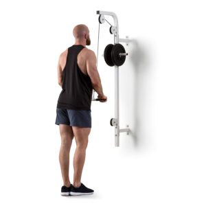 KLARFIT Stronghold , posilňovacia kladka, montáž na stenu, 100 kg, 2,5 m kábel, tricepsová tyč, biela